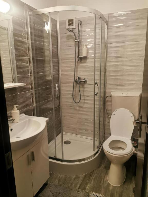 Apartmán Apartament Aosta Central Sinaia Exteriér fotografie